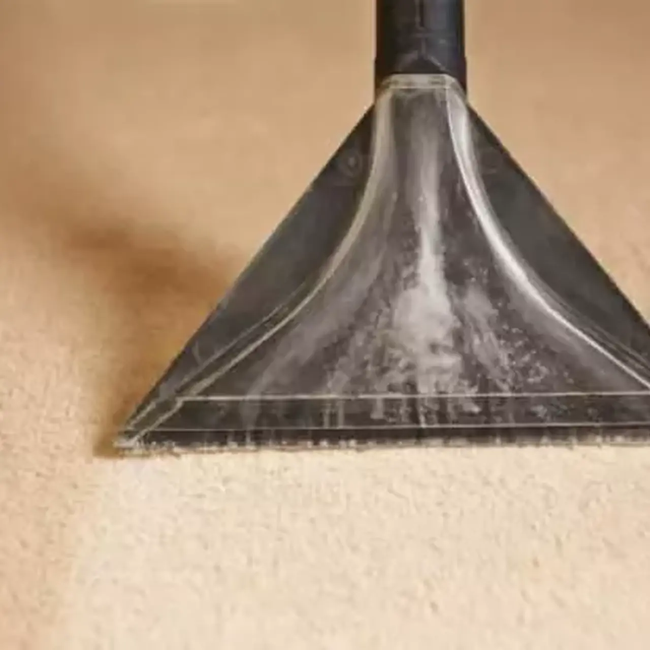 Steam carpet cleaning