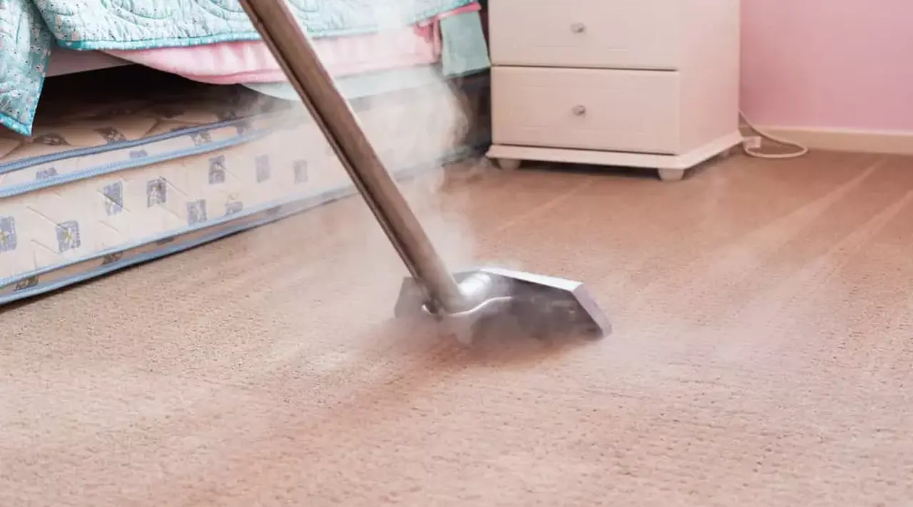 Carpet cleaning ideas