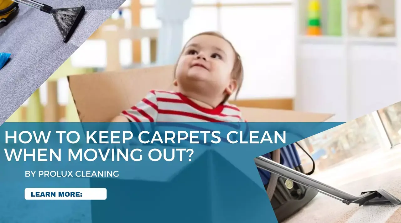Carpet Cleaning Cosham