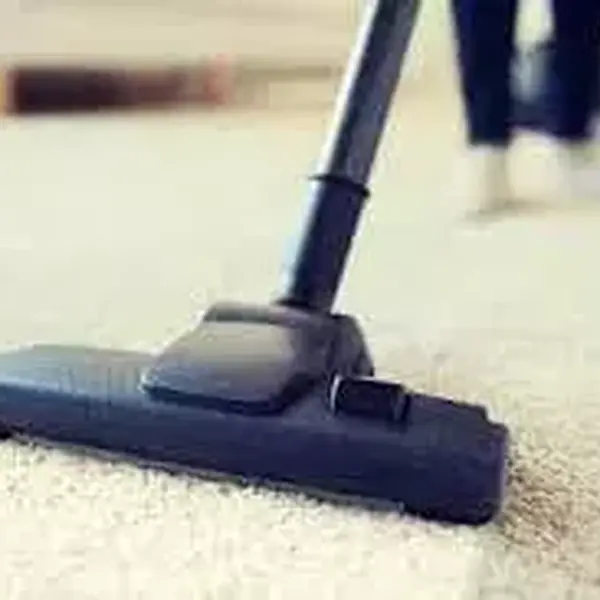 best vacuum for frieze carpet