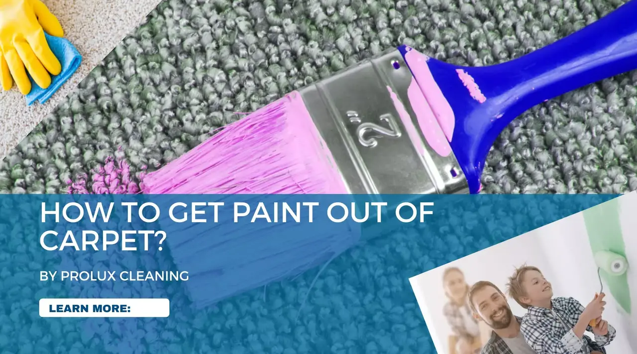 How to Get Paint Out of Carpet - Best Cleaning Tips for Fresh & Dried Paint