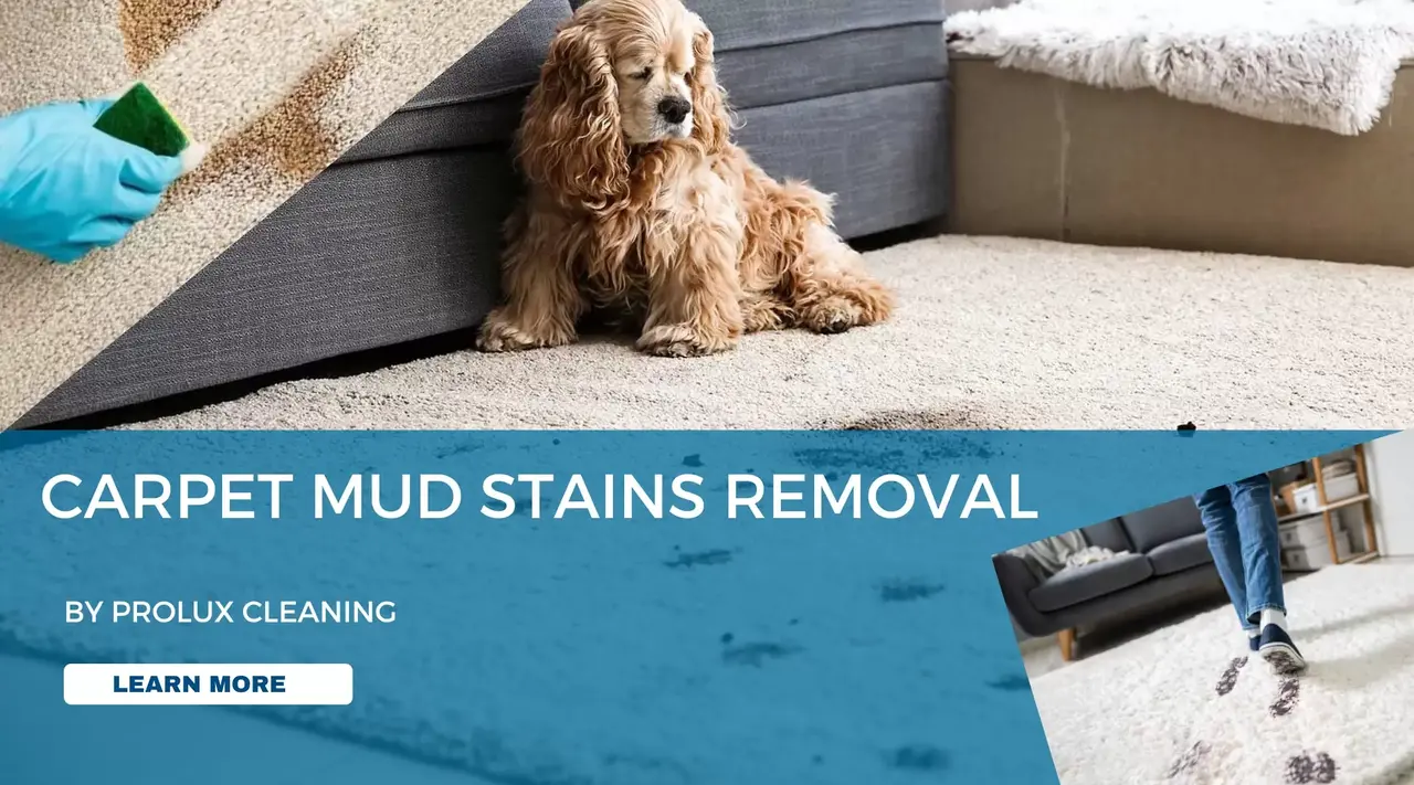 How to Get Mud Stains Out of Carpet - Simple Cleaning Tips for Stain Removal