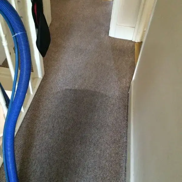 Cheap carpet deals cleaners near me