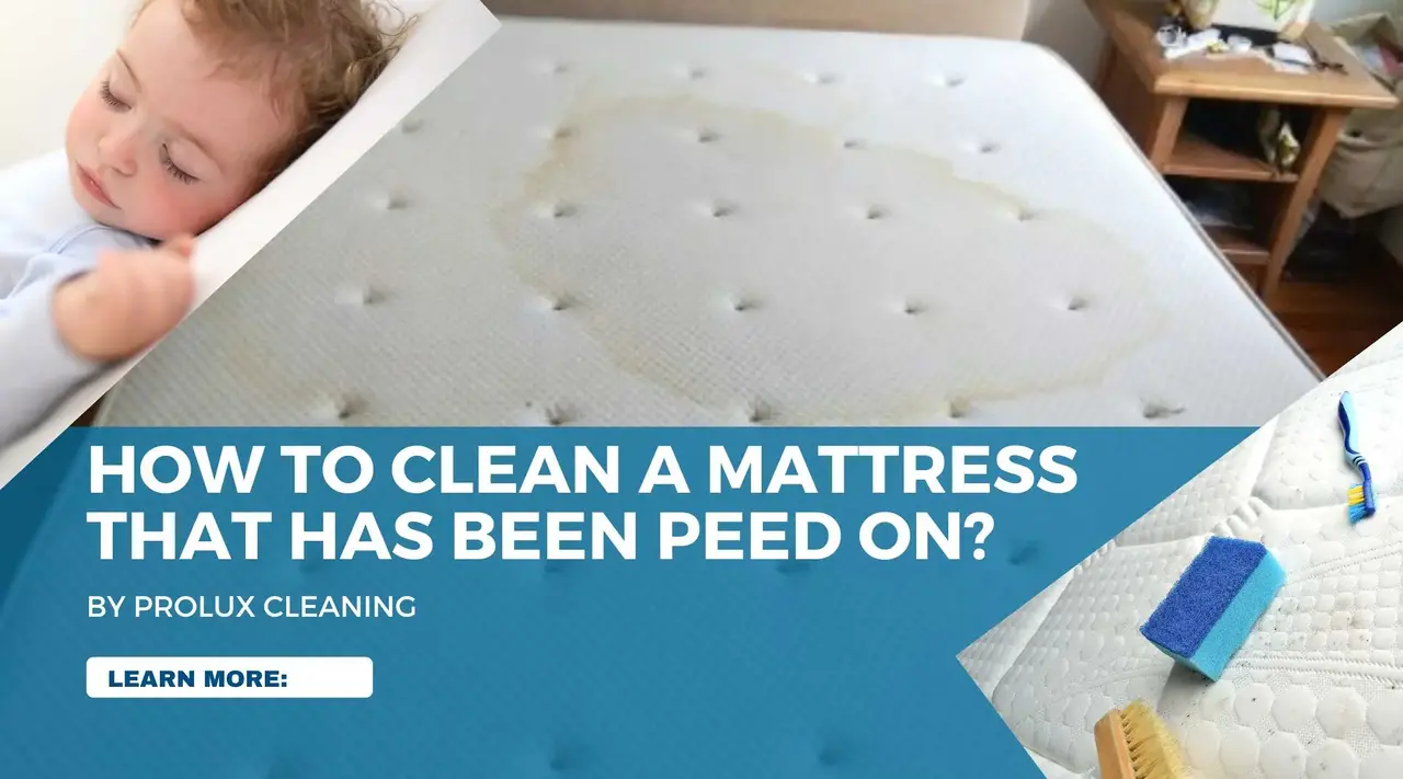 How to clean a mattress that has been peed on banner