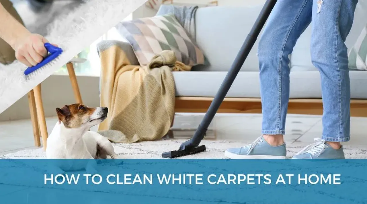 How to clean white carpets at home