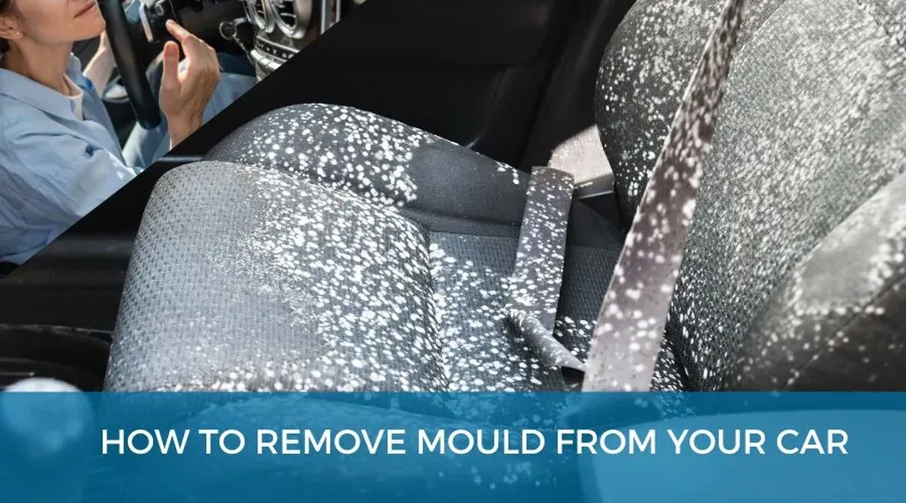 How to remove mould from your car