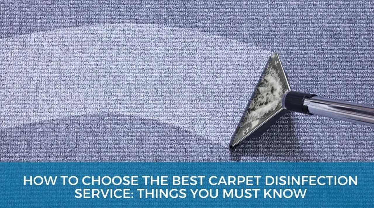 How to Choose the Best Carpet Disinfection Service: Expert Tips