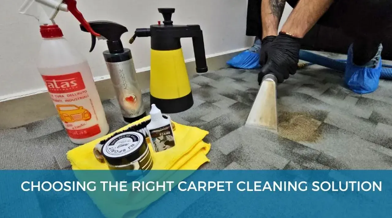 Choosing the Right Carpet Cleaning Solution – Best Options for Your Carpet