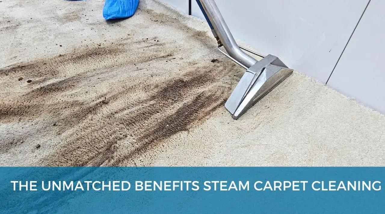 Discover the Benefits of Steam Carpet Cleaning for a Healthier Home